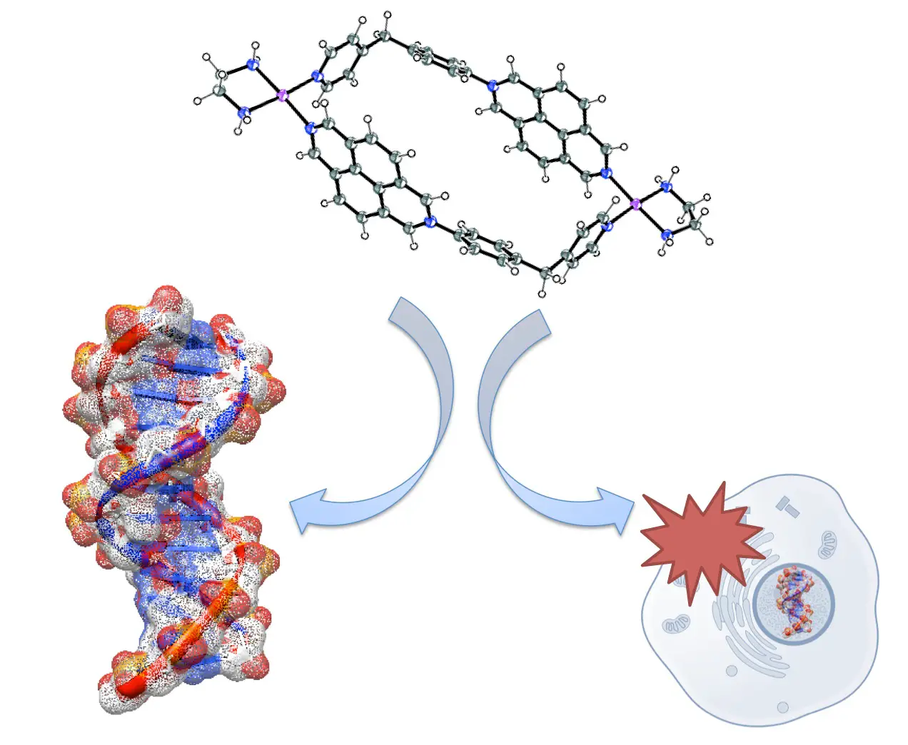 2019Chemistry%20Iago