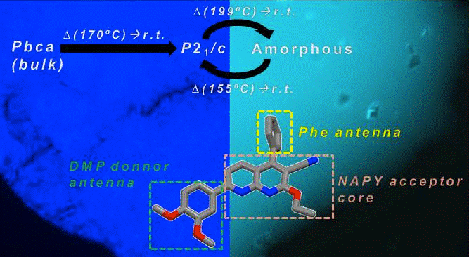 2019Chemistry%20Iago