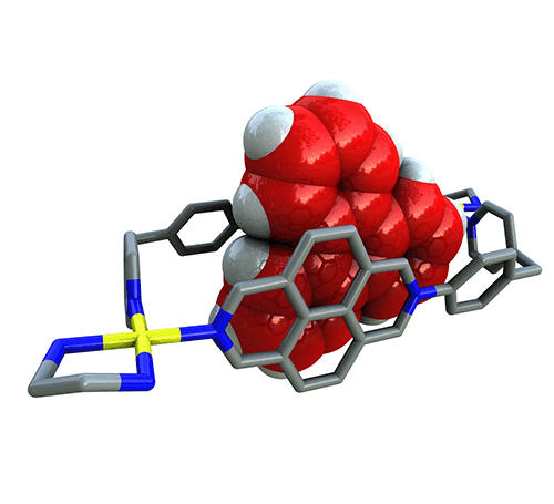 2019Chemistry%20Iago
