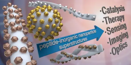 2019Chemistry%20Iago
