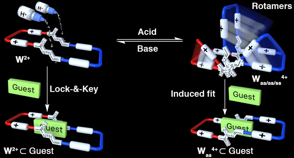 2019Chemistry%20Iago