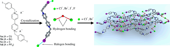 2019Chemistry%20Iago